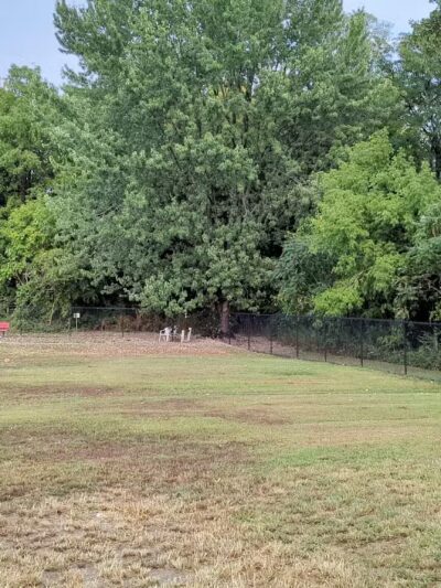 Kingston Point Dog Park - Kingston, NY