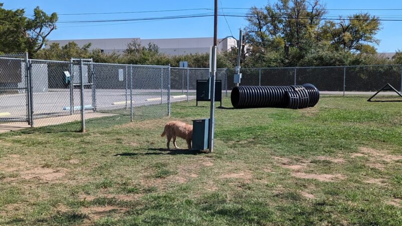 Lake Worth Dog Park - Lake Worth, TX