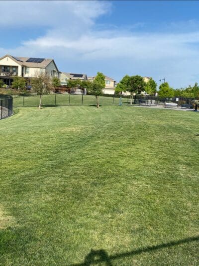 Dog Park - Lathrop, CA