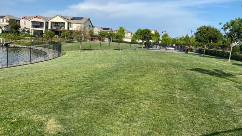 Dog Park - Lathrop, CA
