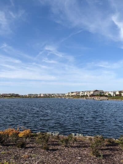 River Islands Dog Park - Lathrop, CA