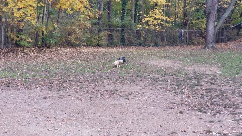 Dudley C Allen Playground & Dog Park - Leonia, NJ