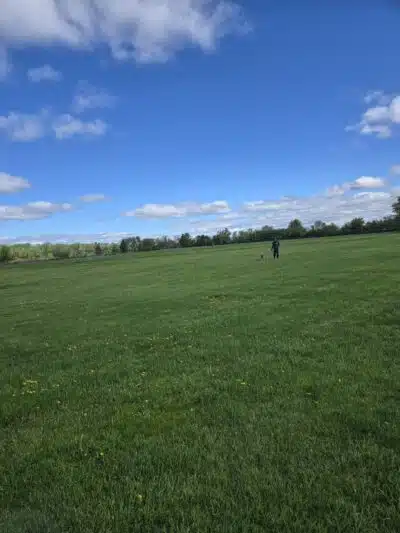 Overpeck Park Henry Hoebel Area - Leonia, NJ