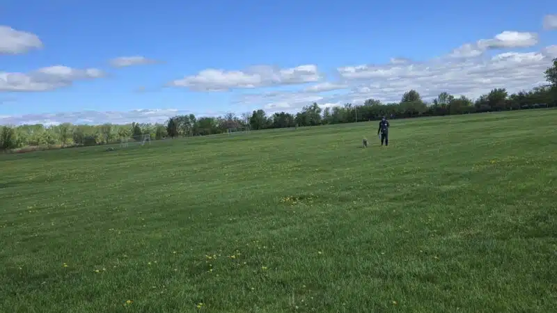 Overpeck Park Henry Hoebel Area - Leonia, NJ