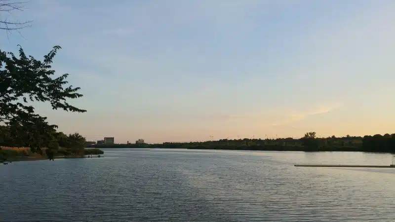 Overpeck Park Henry Hoebel Area - Leonia, NJ