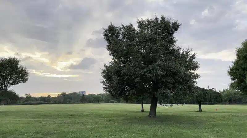 Overpeck Park Henry Hoebel Area - Leonia, NJ