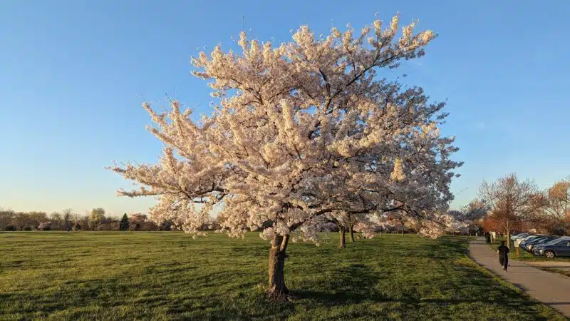 Overpeck Park Henry Hoebel Area - Leonia, NJ