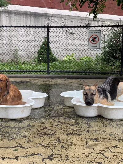 Torsney/Lou Lodati Playground - Long Island City, NY