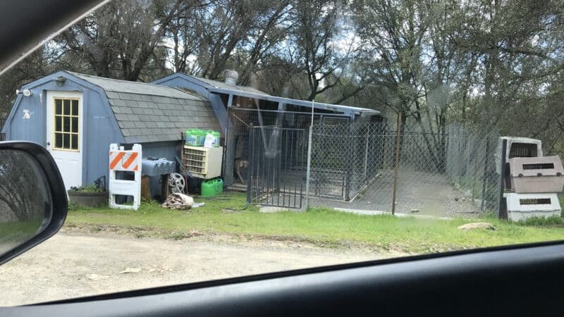 Animal Care Center - Mariposa, CA