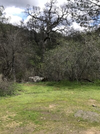 Animal Care Center - Mariposa, CA