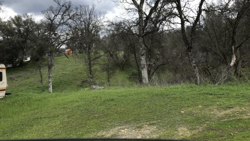 Animal Care Center - Mariposa, CA