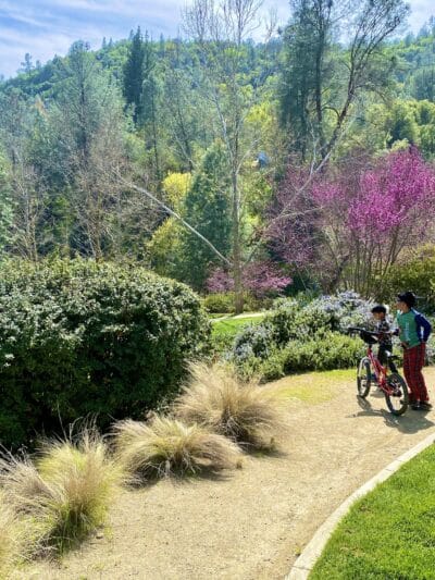 Mariposa County Arts Park - Mariposa, CA