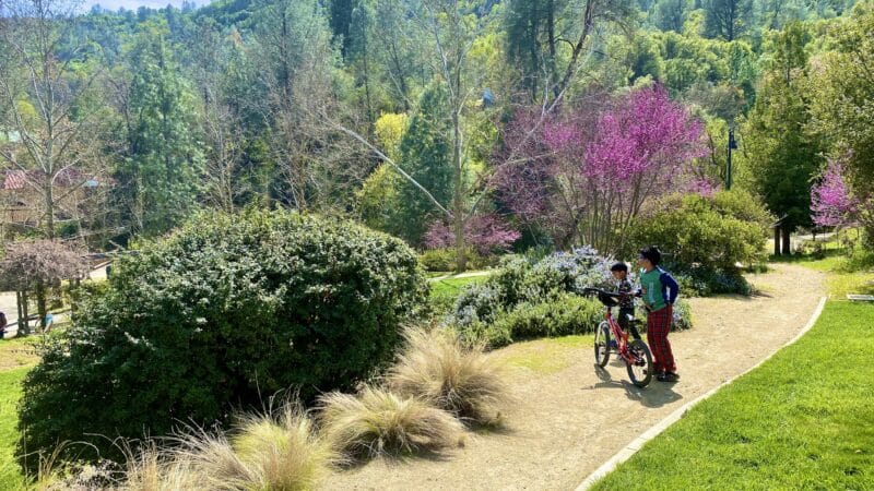 Mariposa County Arts Park - Mariposa, CA
