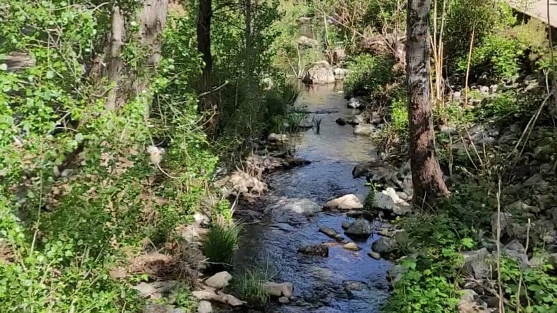 Mariposa County Arts Park - Mariposa, CA