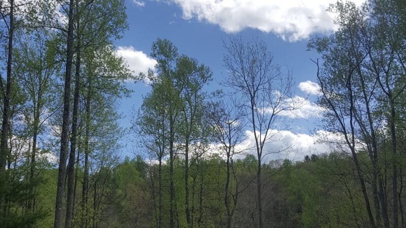 Willville Bike Camp - Meadows of Dan, VA