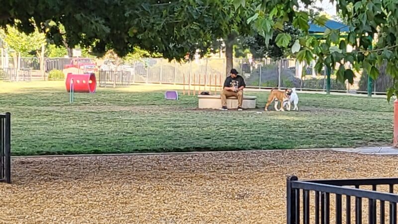 Dog Park - Merced, CA