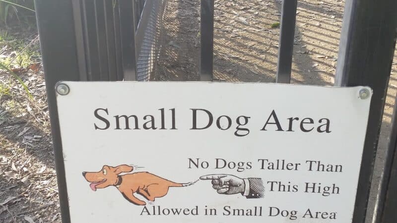 Merced Dog Park - Merced, CA
