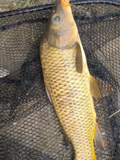 Dr. Maurice Hilleman Park - Miles City, MT