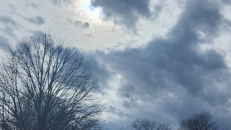 Sylvan Ave Park - Miller Place, NY