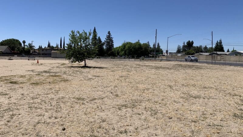 Dog Park - Modesto, CA