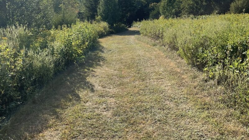 Montvale Park - Montvale, VA