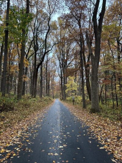 Lewis Morris Park - Morristown, NJ