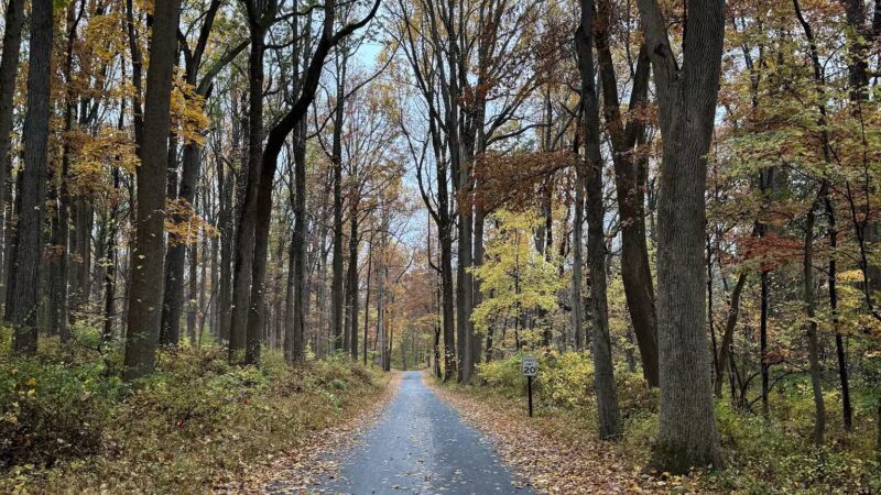 Lewis Morris Park - Morristown, NJ