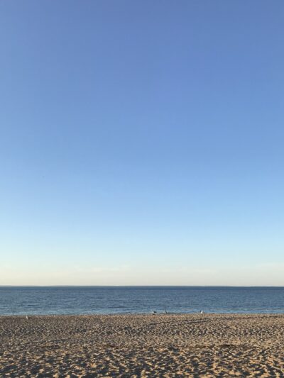 Cedar Beach Nature Center - Mt Sinai, NY
