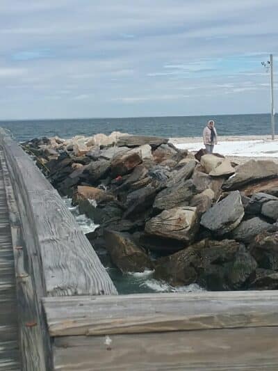 Cedar Beach Town Nature Preserve - Mt Sinai, NY