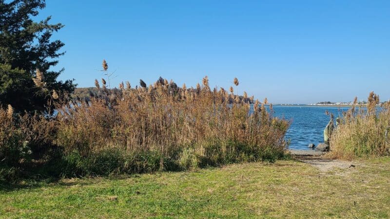 Satterly Landing Park - Mt Sinai, NY