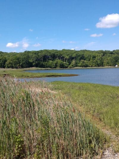 Satterly Landing Park - Mt Sinai, NY