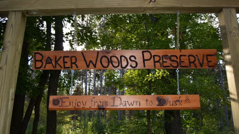 Baker Woods Preserve - Natural Bridge, NY