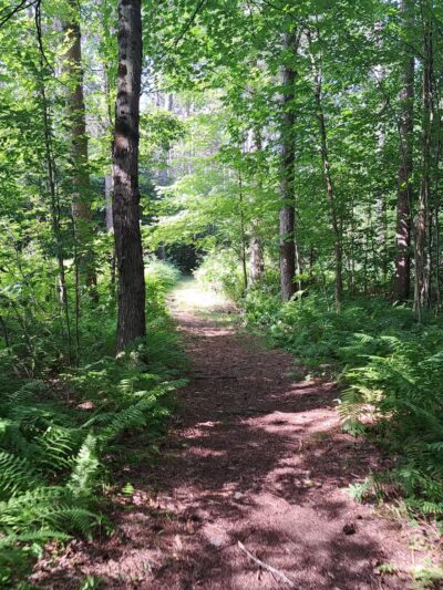 Baker Woods Preserve - Natural Bridge, NY