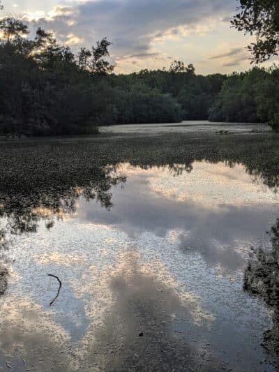 Walter S. Commerdinger, Jr. County Park - Nesconset, NY