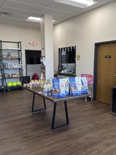 Stay and Play Indoor Dog Park, LLC - New Castle, PA