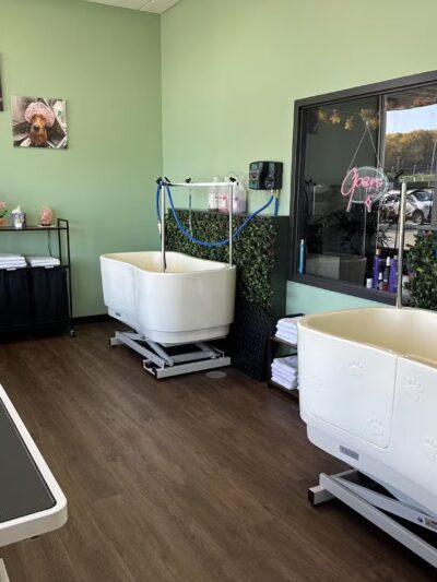 Stay and Play Indoor Dog Park, LLC - New Castle, PA