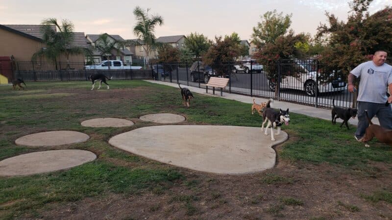 Newman Community Dog Park - Newman, CA