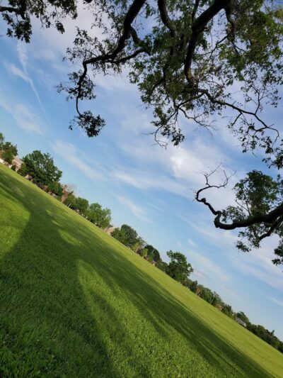 DeVeaux Woods State Park Dog Park - Niagara Falls, NY