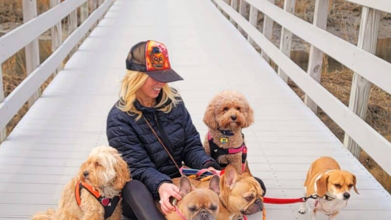 Noelle's Petsitting and Dog Boarding Service - ,