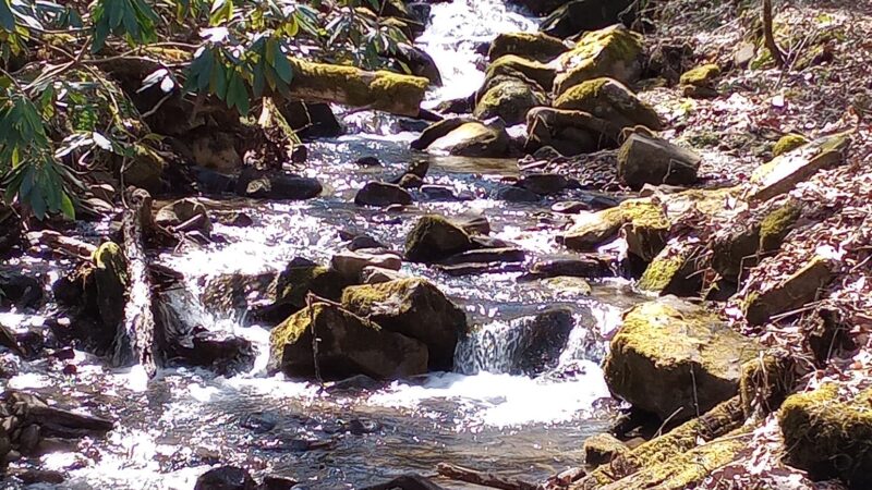 Legion Park - Norton, VA