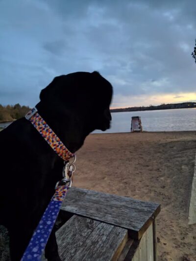 Norwood Recreation Pavilion - Norwood, NY