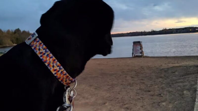 Norwood Recreation Pavilion - Norwood, NY