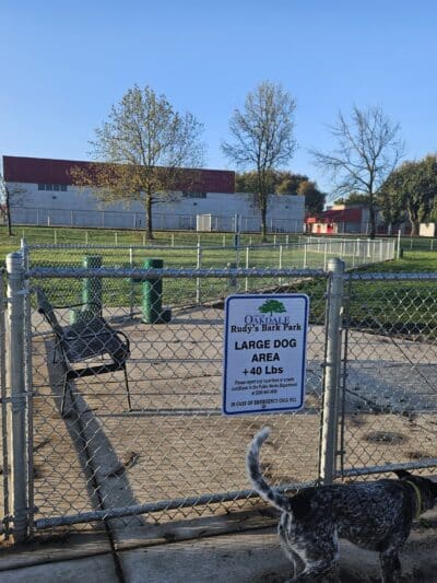 Oakdale Dog Park #2 - Oakdale, CA