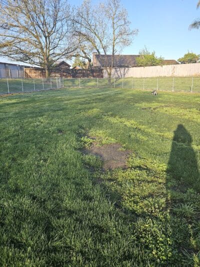 Oakdale Dog Park #2 - Oakdale, CA