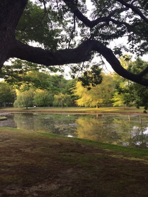 Byron Lake Park - Oakdale, NY