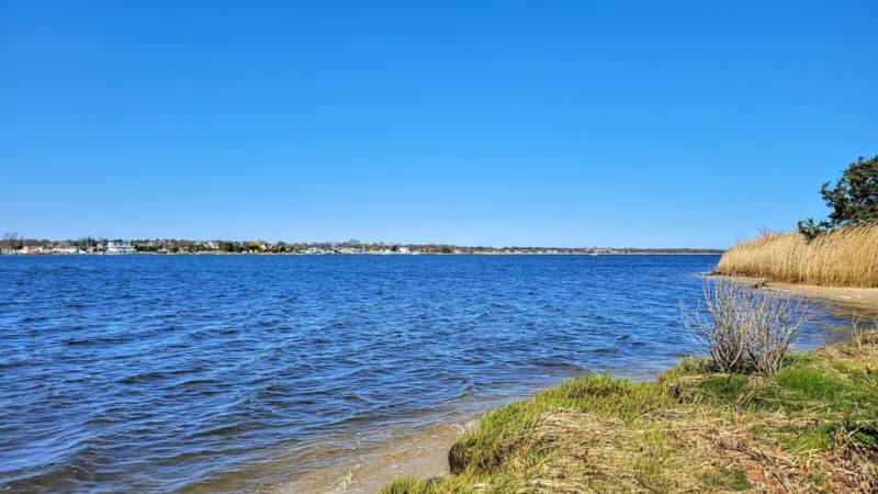 Timber Point County Park - Oakdale, NY