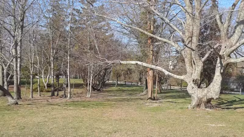 Timber Point County Park - Oakdale, NY