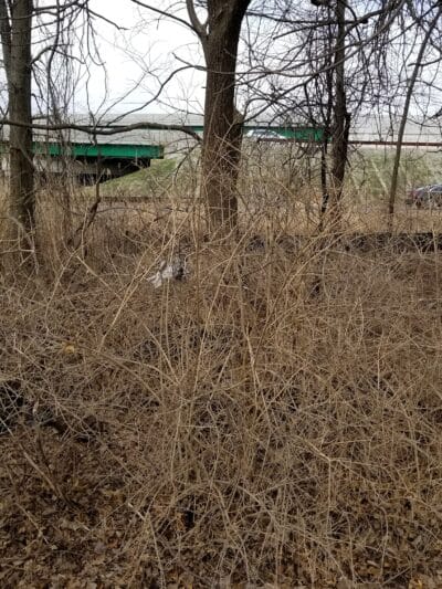 Faber Park - Paramus, NJ