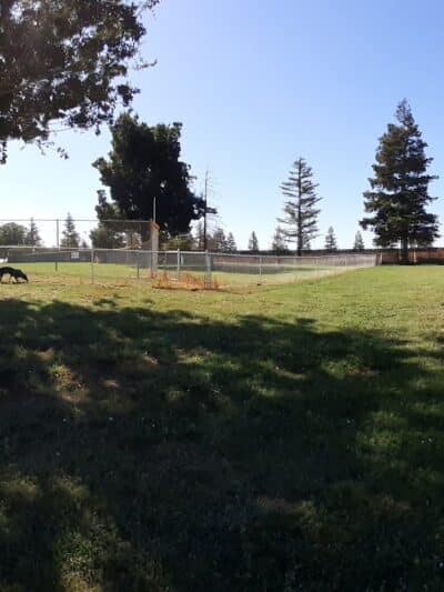 Patterson Dog Park - Patterson, CA