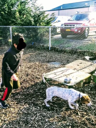 Southold Dog Park - Peconic, NY